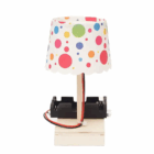 StemWizz Mini LED Lamp completed STEM project